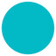 Color Circle Classroom Floor Decal