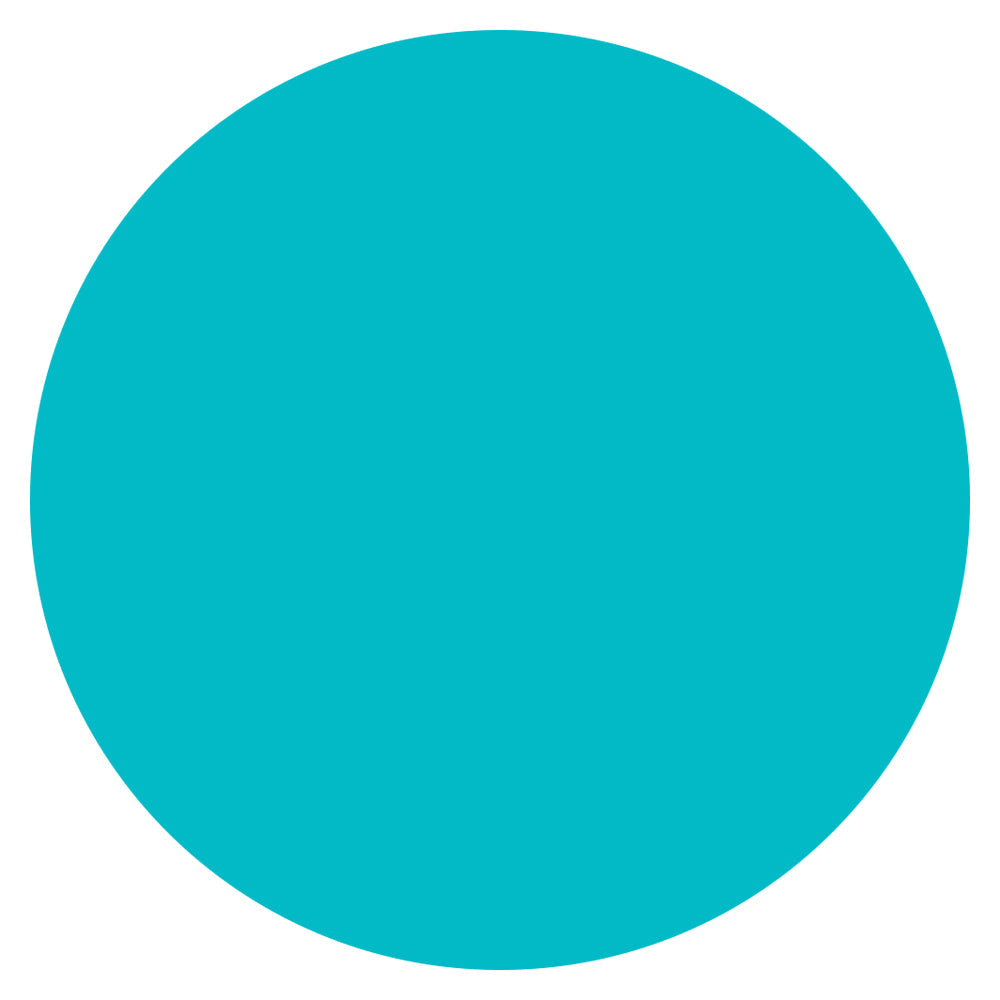 Color Circle Classroom Floor Decal