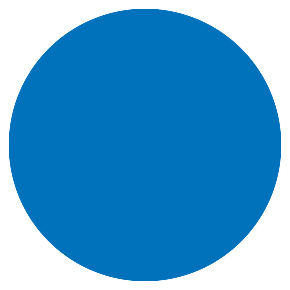 Color Circle Classroom Floor Decal