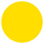 Color Circle Classroom Floor Decal