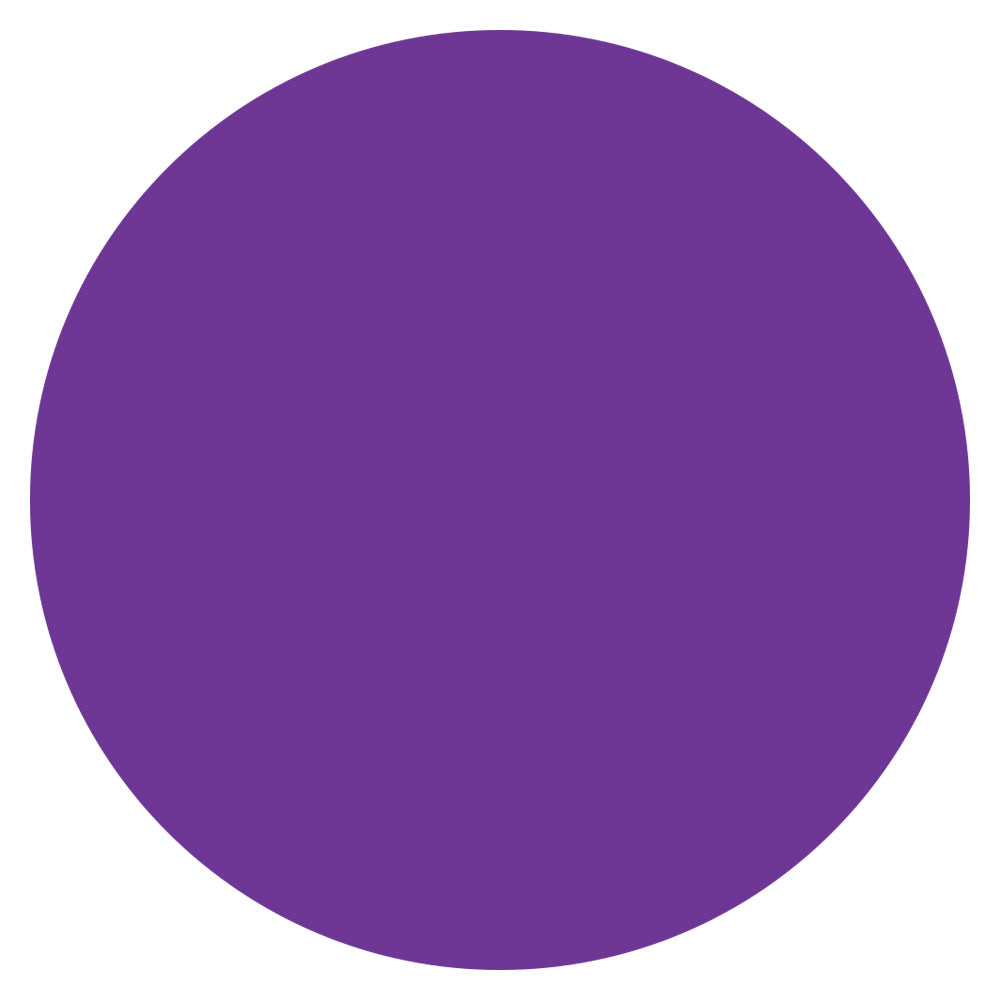 Color Circle Classroom Floor Decal
