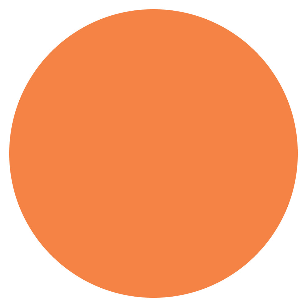 Color Circle Classroom Floor Decal