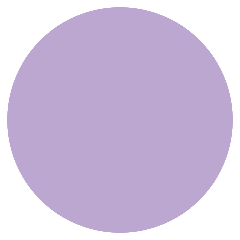 Color Circle Classroom Floor Decal