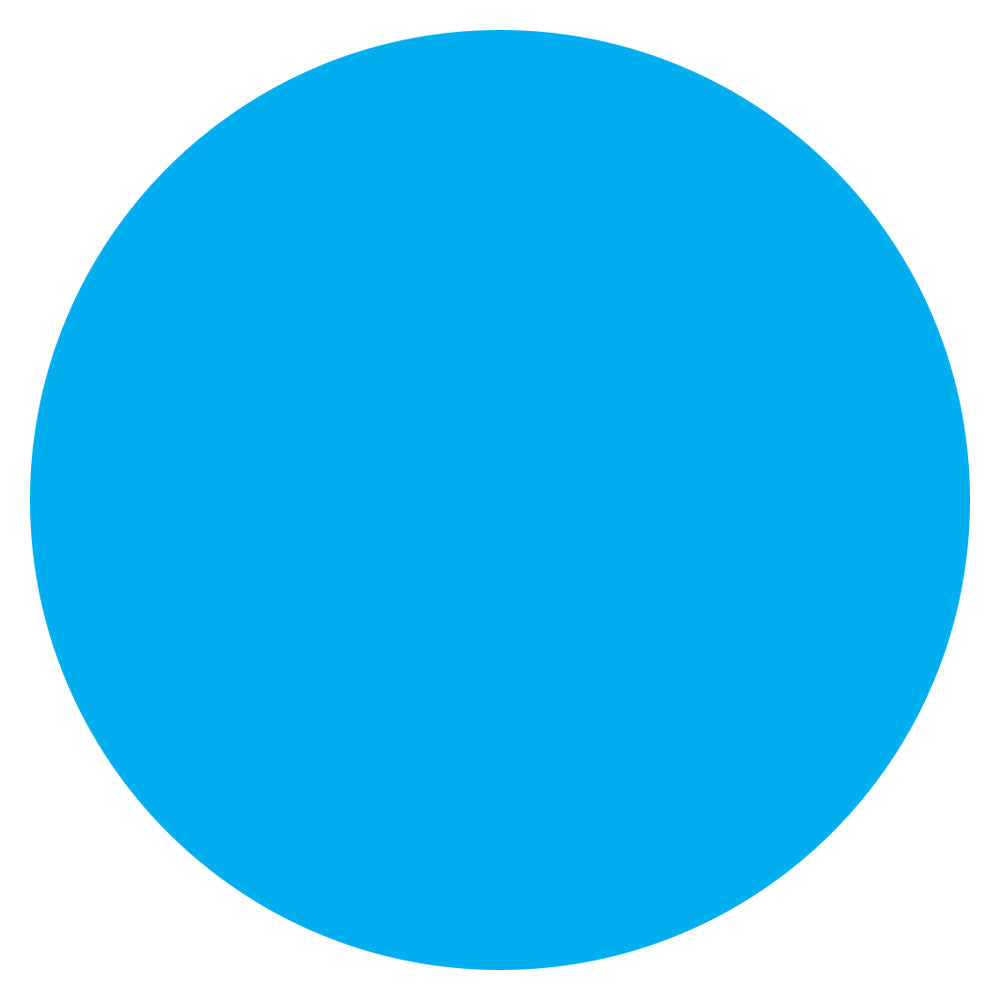 Color Circle Classroom Floor Decal